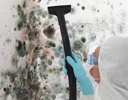 Trusted Lordstown, OH Mold Inspection Experts